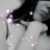 InstaSquare_2024823214412929